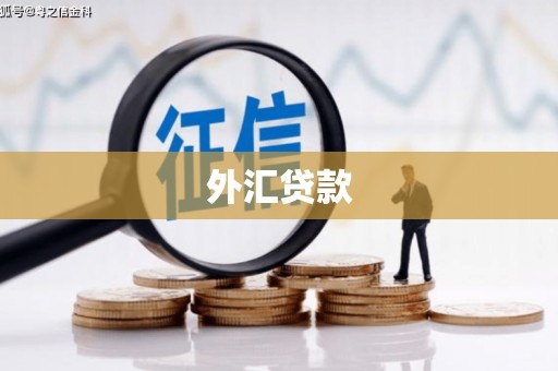 蒲城外汇贷款