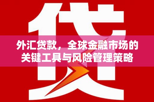 蒲城外汇贷款，全球金融市场的关键工具与风险管理策略