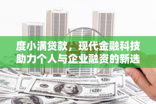 蒲城度小满贷款，现代金融科技助力个人与企业融资的新选择