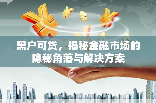 蒲城黑户可贷，揭秘金融市场的隐秘角落与解决方案