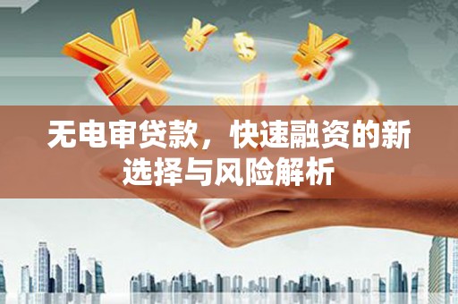 蒲城无电审贷款，快速融资的新选择与风险解析