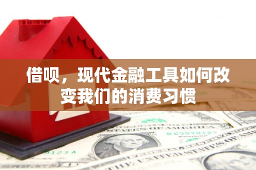 蒲城借呗，现代金融工具如何改变我们的消费习惯