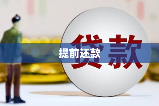蒲城提前还款
