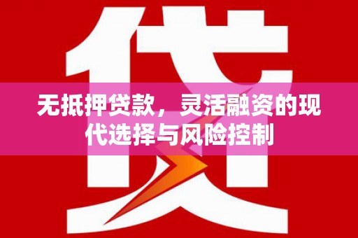 蒲城无抵押贷款，灵活融资的现代选择与风险控制