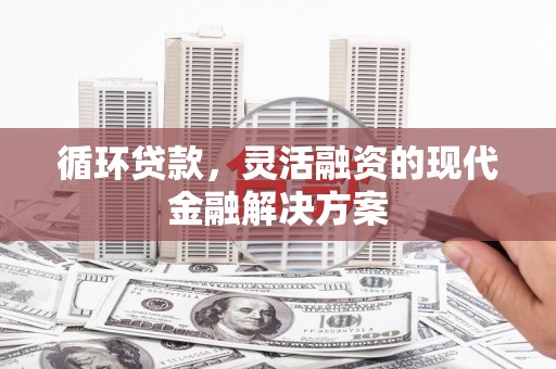 蒲城循环贷款，灵活融资的现代金融解决方案