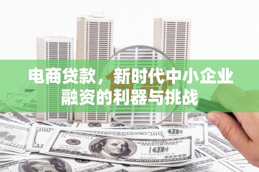 蒲城电商贷款，新时代中小企业融资的利器与挑战