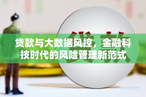 蒲城贷款与大数据风控，金融科技时代的风险管理新范式
