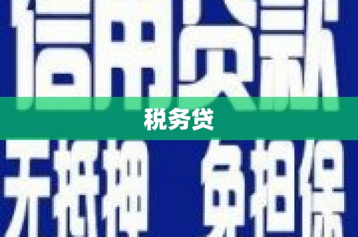 蒲城税务贷