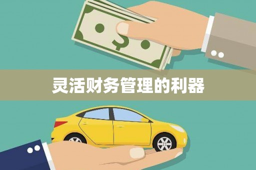 蒲城灵活财务管理的利器