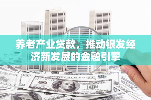 蒲城养老产业贷款，推动银发经济新发展的金融引擎