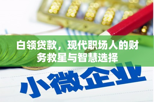 蒲城白领贷款，现代职场人的财务救星与智慧选择