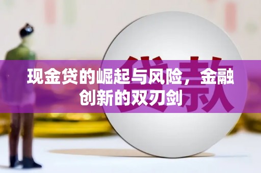蒲城现金贷的崛起与风险，金融创新的双刃剑