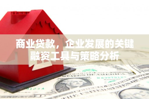 蒲城商业贷款，企业发展的关键融资工具与策略分析