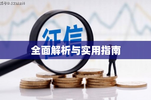 蒲城全面解析与实用指南