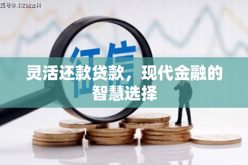蒲城灵活还款贷款，现代金融的智慧选择