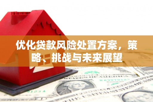 蒲城优化贷款风险处置方案，策略、挑战与未来展望