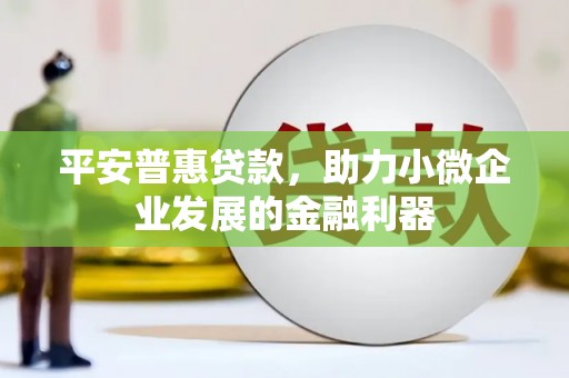 蒲城平安普惠贷款，助力小微企业发展的金融利器