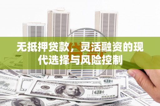 蒲城无抵押贷款，灵活融资的现代选择与风险控制