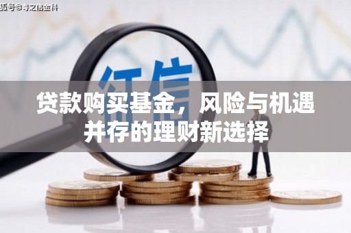蒲城贷款购买基金，风险与机遇并存的理财新选择