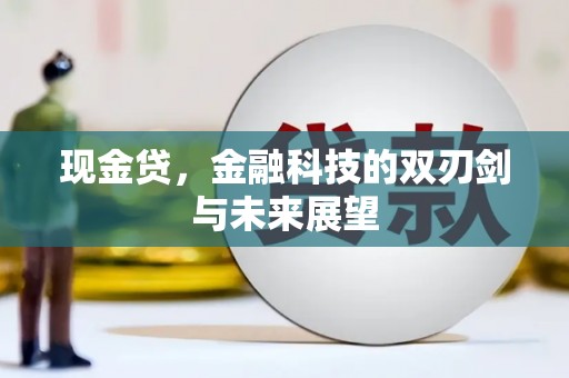 蒲城现金贷，金融科技的双刃剑与未来展望