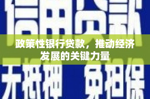 蒲城政策性银行贷款，推动经济发展的关键力量