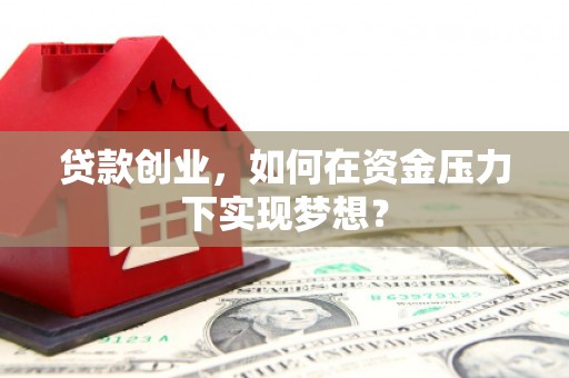 蒲城贷款创业，如何在资金压力下实现梦想？