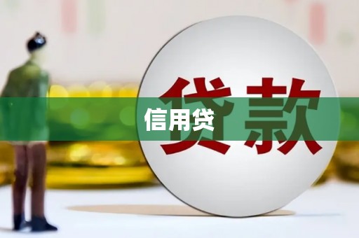 蒲城信用贷