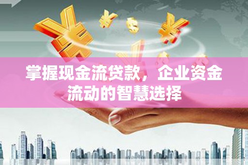 蒲城掌握现金流贷款，企业资金流动的智慧选择