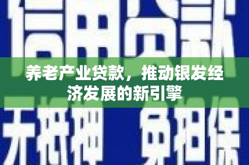 蒲城养老产业贷款，推动银发经济发展的新引擎