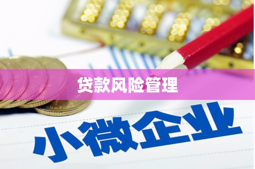 蒲城贷款风险管理
