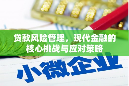蒲城贷款风险管理，现代金融的核心挑战与应对策略