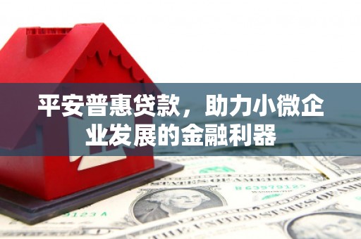 蒲城平安普惠贷款，助力小微企业发展的金融利器