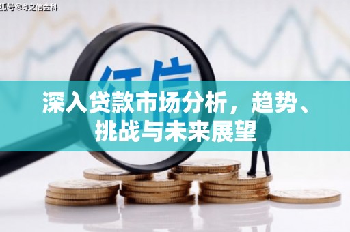 蒲城深入贷款市场分析，趋势、挑战与未来展望