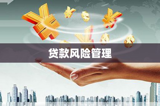 蒲城贷款风险管理