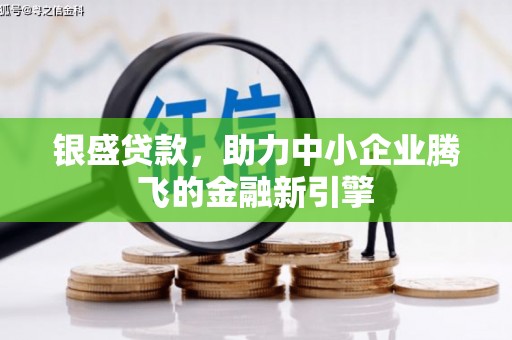 蒲城银盛贷款，助力中小企业腾飞的金融新引擎