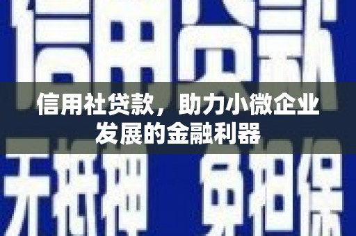 蒲城信用社贷款，助力小微企业发展的金融利器