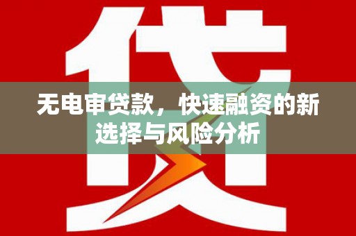 蒲城无电审贷款，快速融资的新选择与风险分析