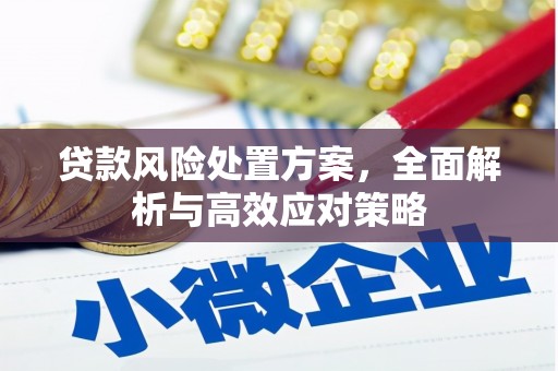 蒲城贷款风险处置方案，全面解析与高效应对策略