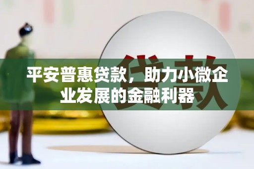 蒲城平安普惠贷款，助力小微企业发展的金融利器