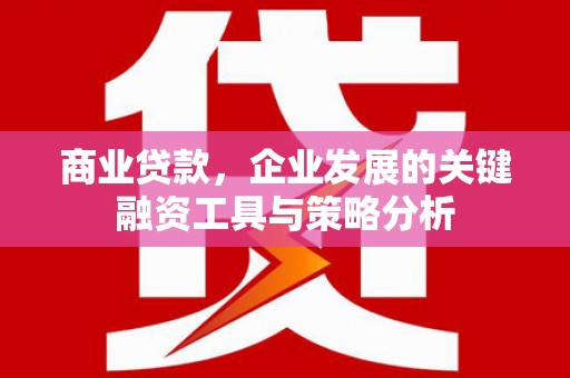 蒲城商业贷款，企业发展的关键融资工具与策略分析