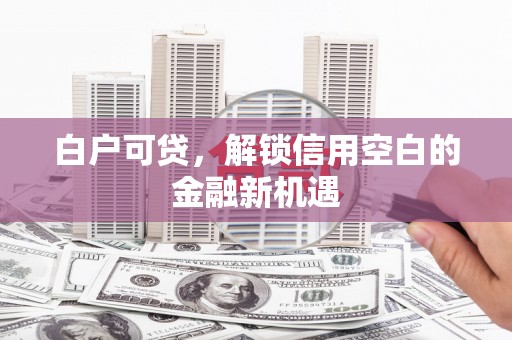 蒲城白户可贷，解锁信用空白的金融新机遇