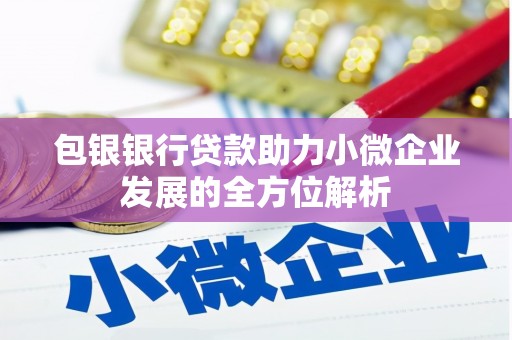 蒲城包银银行贷款助力小微企业发展的全方位解析