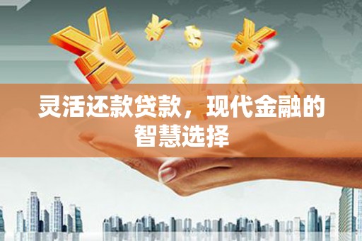 蒲城灵活还款贷款，现代金融的智慧选择