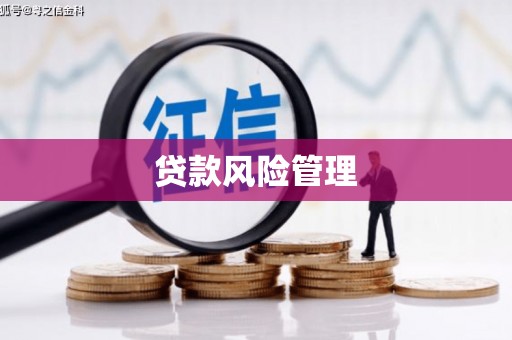 蒲城贷款风险管理