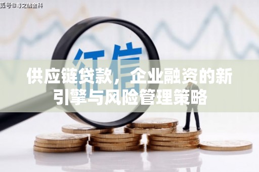 蒲城供应链贷款，企业融资的新引擎与风险管理策略