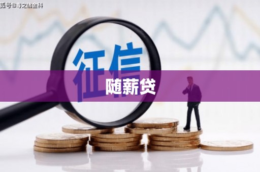 蒲城随薪贷