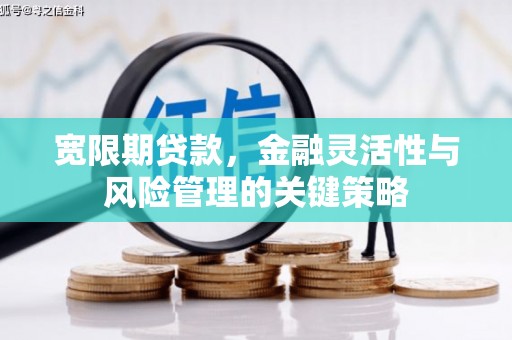 蒲城宽限期贷款，金融灵活性与风险管理的关键策略