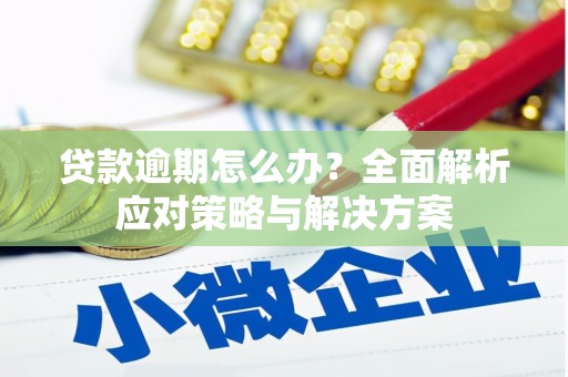 蒲城贷款逾期怎么办？全面解析应对策略与解决方案