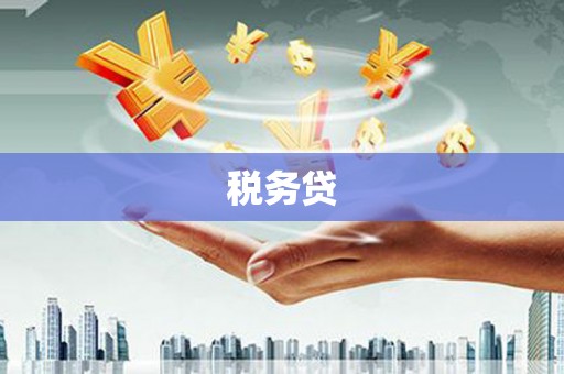 蒲城税务贷