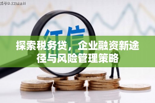 蒲城探索税务贷，企业融资新途径与风险管理策略